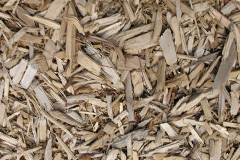 biomass boilers Littleton Drew